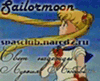 Sailormoon Свет надежды. Лунная Любовь